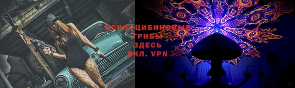 таблы Ладушкин